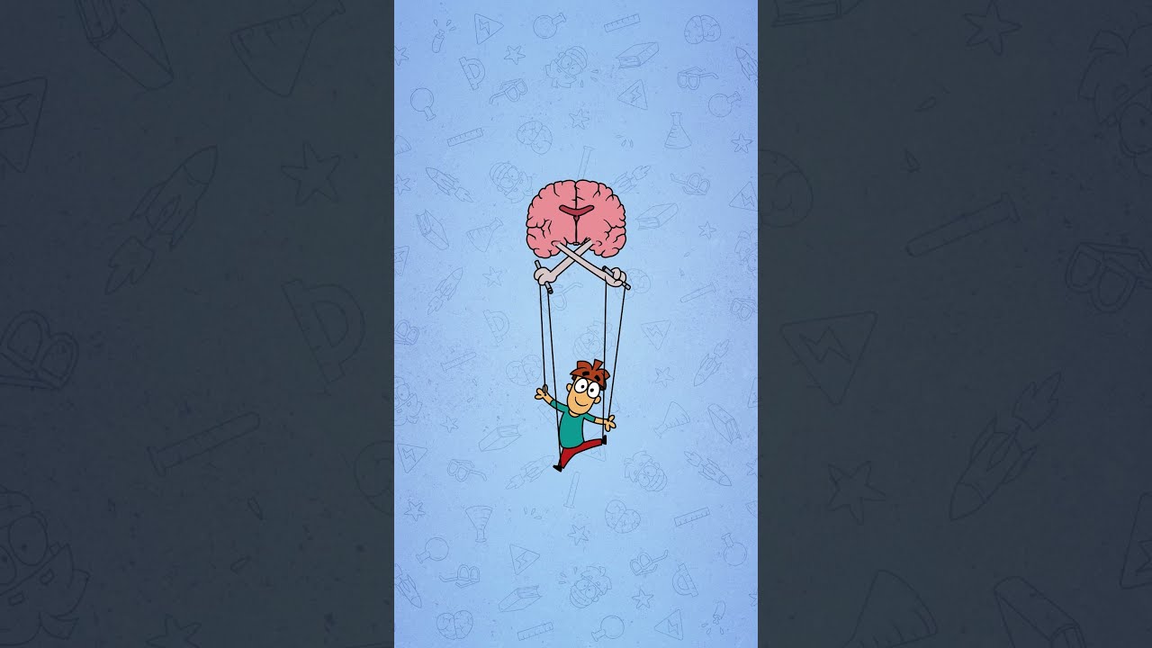 What If The Corpus Callosum Of Brain Is Removed Brains Neuron MeetArnold
