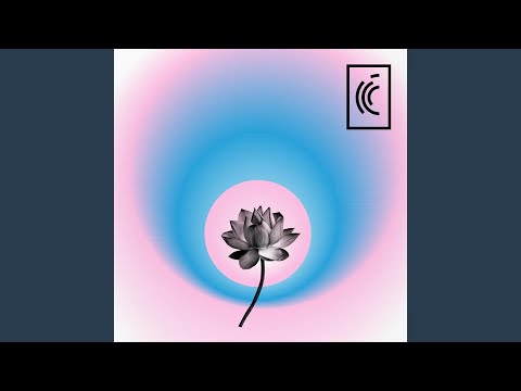 Danielle Dechenne, Colorado Quartet & Franz Schubert - Trout Quintet, D. 667: II. Andante