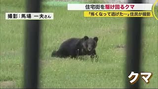 30メートル先の住宅街の草むらを