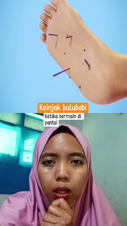 terinjak bulu b4bi ketika di pantai #shortvideo #facts #hiburanrakya #hiburansegar #beritaterkini