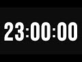 23 Hour Timer