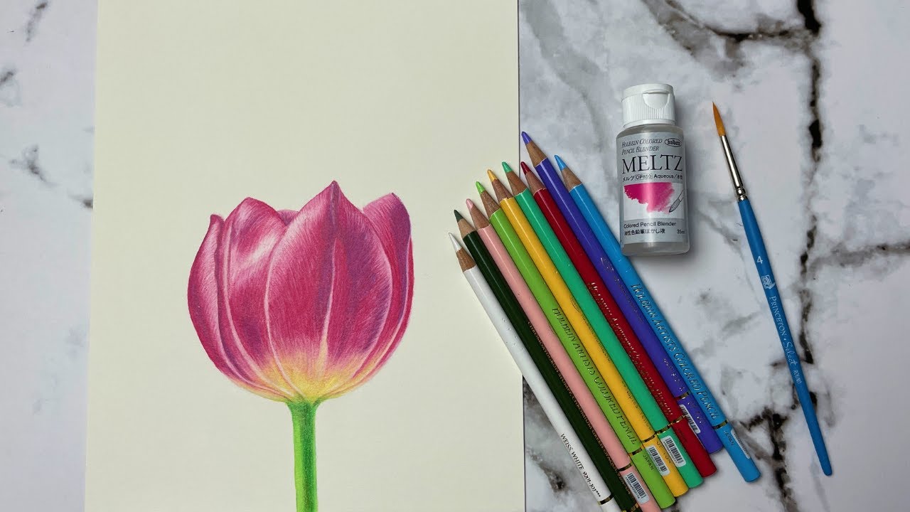 Holbein Artist Colored Pencils | June 2021 Paletteful Packs Demo