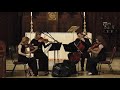Miniature de la vidéo de la chanson Fratres For String Quartet
