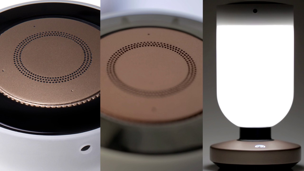 Momo - The Home Genius 