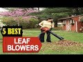 5 Best Leaf Blowers &amp; Leaf Vacuums 2023 | Best Leaf Blowers &amp; Leaf Vacuum Review | Top 5 Leaf Blower