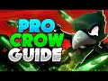 PRO CROW GUIDE - Pro Tips & Tricks