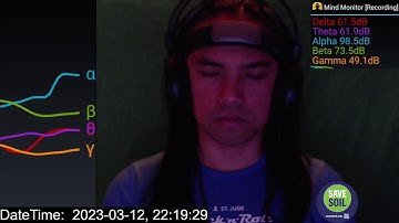 Recording Brain Waves Using Muse