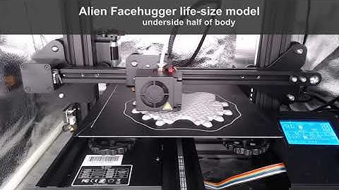 3D Printed Life-size Alien Facehugger - bottom(underside) half of body - time lapses