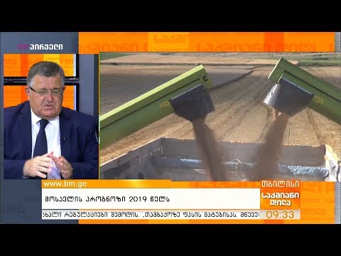 მოსავლის პროგნოზი 2019 წელს