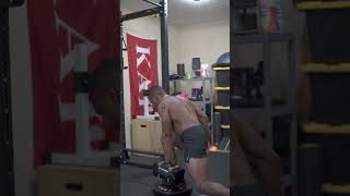 Famous Exercise Library | Front Foot Elevated, Dumbbell Reverse Lunge Net Worth