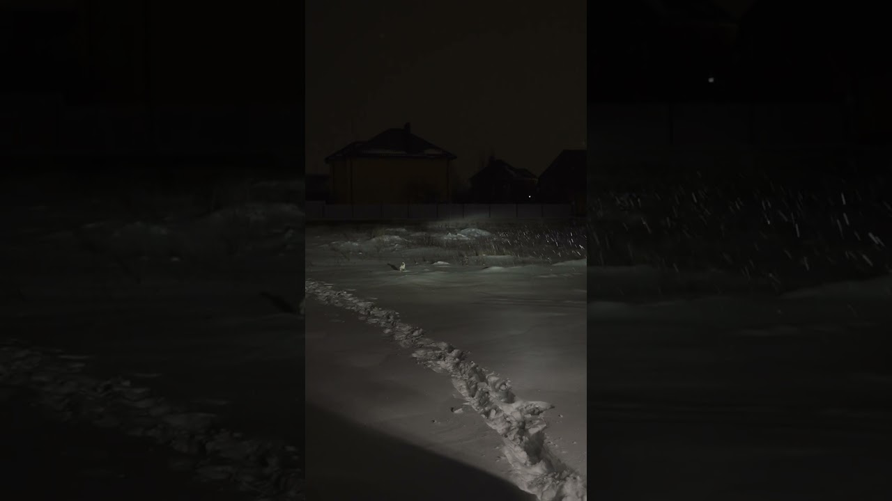 СРАВНИВАЕМ LED И ГАЛОГЕН В ОДНОЙ ФАРЕ! ЧТО ЛУЧШЕ?