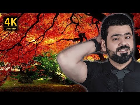 زيد الحبيب يا بعد روحي مع كلمات الاغنية من نوفلن البناء