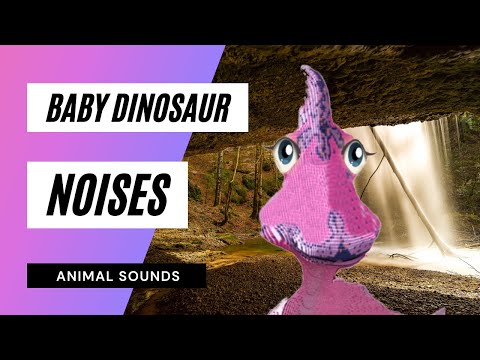 the-animal-sounds:-angry-baby-dinosaur-noises---sound-effect---animation