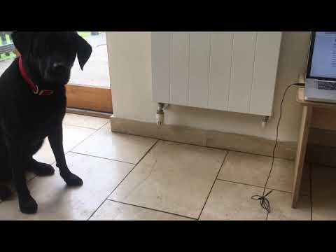 VR Grand National for NHS