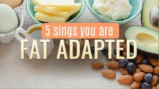 How do you know you are keto-adapted / fat-adapted? | 5 signs you are keto adapted