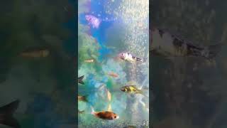 Ingatlah bahwa tak ada yang abadi di dunia ini, termasuk masalah yang ada dalam hidupmu