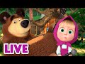 🔴 AO VIVO 👱♀️🐻 Masha e o Urso 🏡 Aventuras no quintal 🤸‍♂️ Masha and the Bear