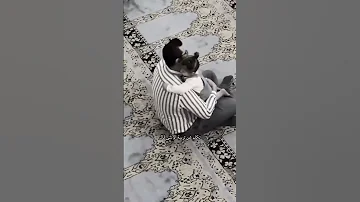 البنت تكرم 