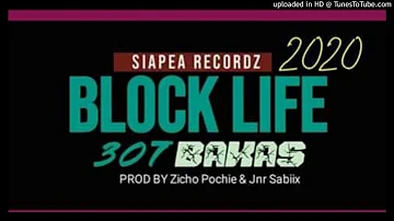 Block Life(2020 Png Music)307 Bakaz