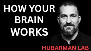 How Your Brain Works & Changes | : Huberman Lab Essentials