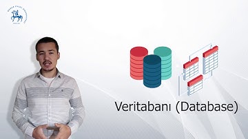 Veritabanı Yönetim Sistemleri