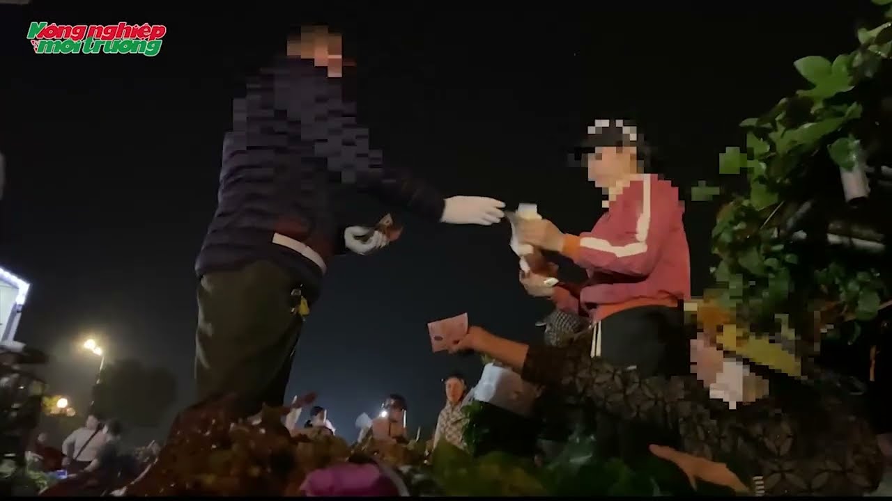 Phức tạp hoạt động 