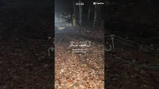 لو حسّيت بالراحة هنا، اشترك، أعجب، علّق، وخلّي غيرك يستمتع ✨