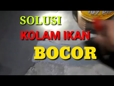 Pembuatan Kolam Memakai Kaca [Aman, Kuat, dan Terukur] Project 2020 Di video kali kami membahas dan . 