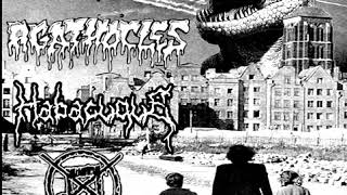 Split - Agathocles / Habacuque : The Noise That Destroys Barriers