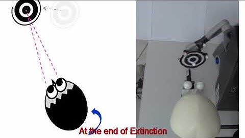 Vestibulo-Ocular Reflex with a robot driven by a Spiking Neural Network with multiple plasticities