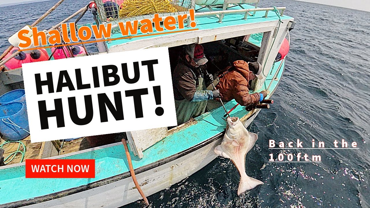 Back at it with another episode of Halibut 2025