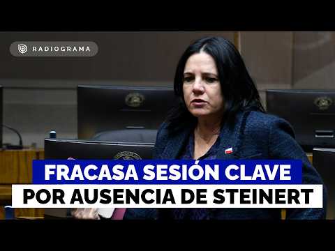 Fracasa sesión clave en el Senado por inasistencia de ministra Steinert: crecen críticas