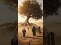 معجزة الشجرة معجزات الرسول صلى الله عليه و سلم قصص الأنبياء قصص Shorts معجزة الشجرة معجزات الرسول صلى الله عليه و سلم قصص الأنبياء قصص Shorts
