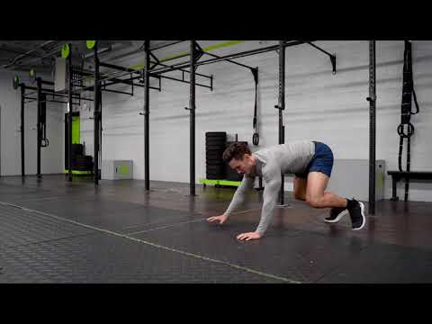 Bear Crawls