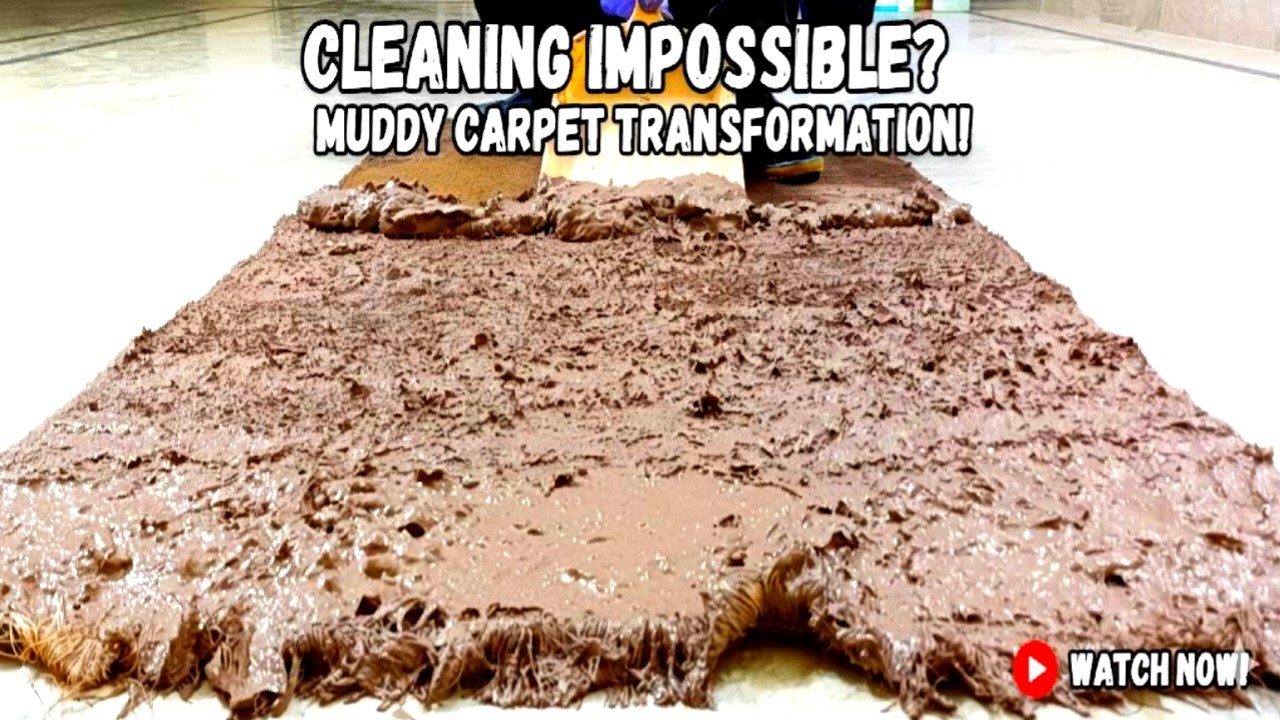Dirty and Stained Carpet Turn into Fresh Soft and Spotless Perfection with Professional Cleaning.