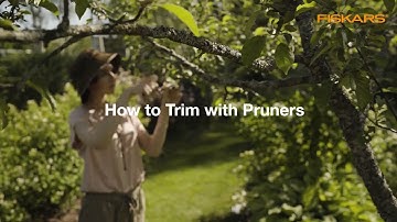 How to use pruners | Fiskars