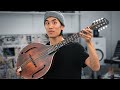 You need to know about this instrument (Octave Mandolin)