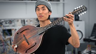 Octave mandolin should be way more popular