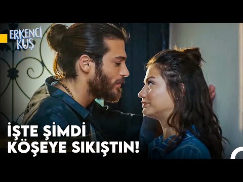 Sanem'in Aşkı Bulma Yolculuğu #48 - Erkenci Kuş