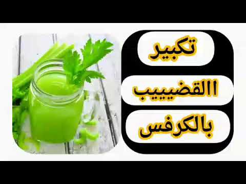 فوائد الكرفس للرجاااااال
