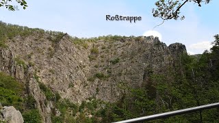 Wandern im Harz: Altenbrak, wunderschönes Bodetal, Rosstrappe, Kaulquappen, Molche