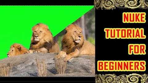 how to remove green screen nuke| NUKE : Basic Chroma Keying Compositing |nuke hindi tutorial | pt 1