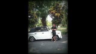 Lupakan Semua - Green Fly