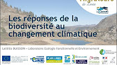 Rencontres migrateurs de Loire 2021