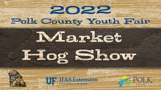 2022 Market Hog Show Afternoon- Polk County Youth Fair Wealth