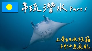 【帛琉潛水Palau Diving Part 1 】上帝的水族箱『帛琉』潛水有多精彩⁉測潛第一支就看Manta在世界十大潛點藍角和上百隻鯊魚共游  | 帛琉Vlog  #3