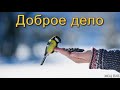 "Доброе дело". И. П. Плетт. МСЦ ЕХБ.