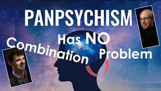 Panpsychism: NO combination problem | O'Connor-Kuhn discussion | #121
