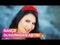 Bahçe Duvarından Aştım Ayşe Dinçer Official Video