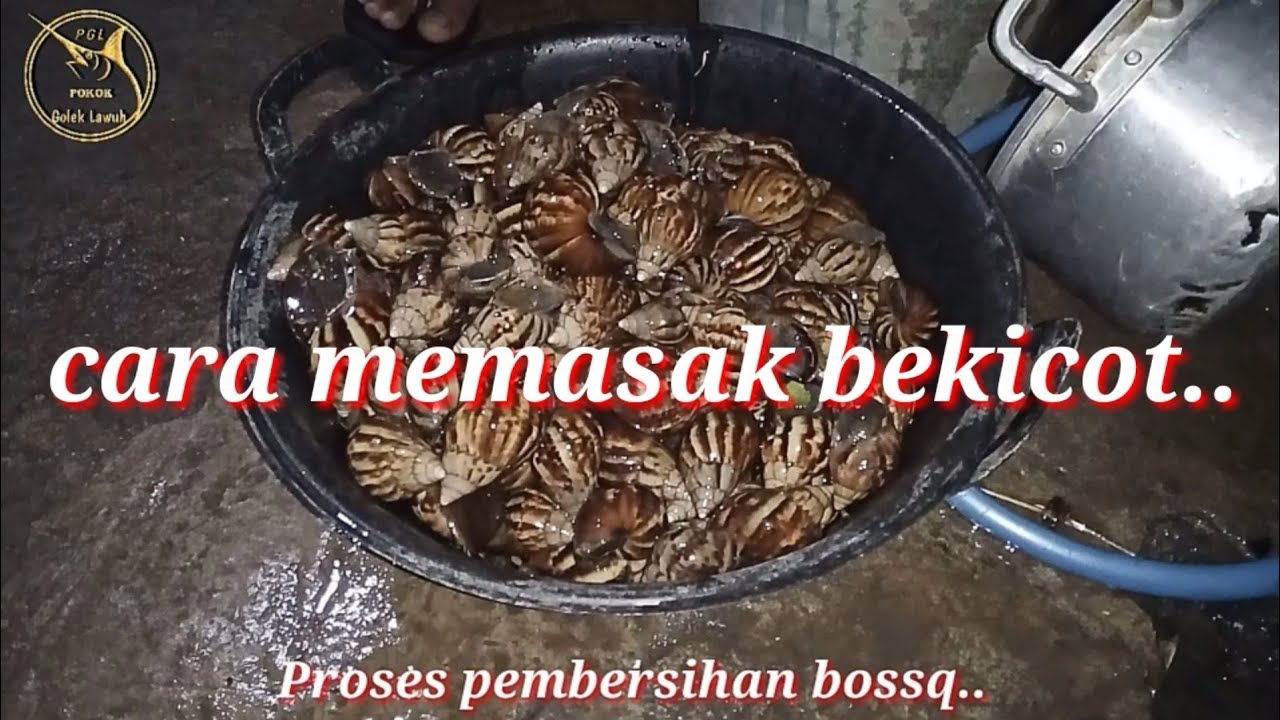 Cara memasak 02 ( bekicot ) #13 